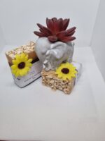 Fresh Oat & Lemon Butter Soap - Image 2