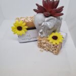 Fresh Oat & Lemon Butter Soap